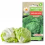 Sėklos Crisp Ice Lettuce Summer Toraf daržovių, 1g pakuotė