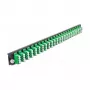 DeLOCK 19 colių priekinis skydelis splice dėžei 43370 24 prievadų LC Quad žalias
