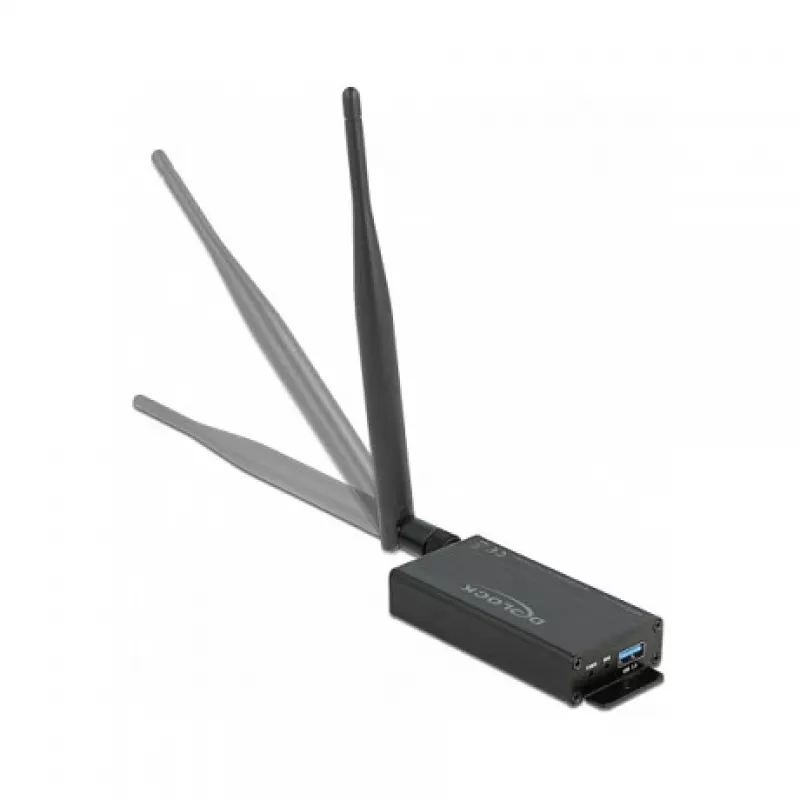 DeLOCK 63172 M.2 USB 3.2 Gen 1 sąsajos kortelė