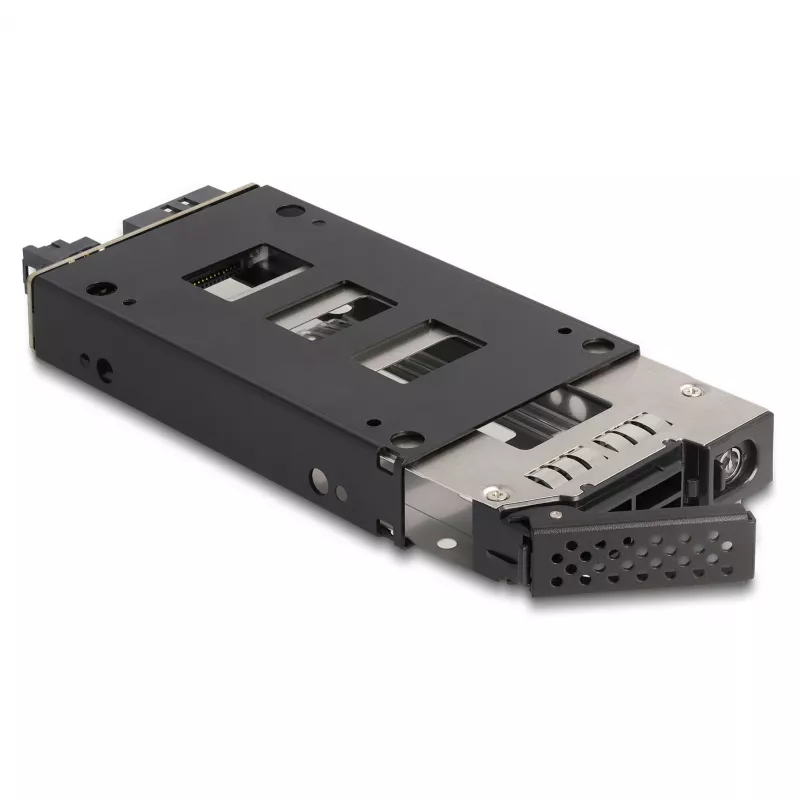 Delock Slim - Mobiles Speicher-Rack - slim bay (47005)