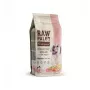 Sausas šunų ėdalas šuniukams VETEXPERT Raw Paleo Healthy Grain Puppy Salmon and Barley 10 kg, baltymai 29%, riebalai 17%, drėgmė 9%