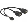 Vidinis USB kabelis DeLOCK 83292 0,2 m Motina-Motina