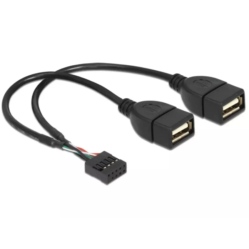 Vidinis USB kabelis DeLOCK 83292 0,2 m Motina-Motina
