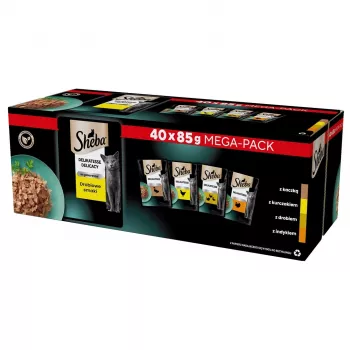 SHEBA Delicacy paukštienos skoniai želėje – šlapias kačių ėdalas – 40x85 g