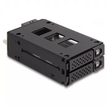 Delock - Mobiles Speicher-Rack - schmaler Schacht - 5,25 bis 2 x 2,5 (13,3 cm bis 2 x 6,4 cm) - Schwarz (47019)