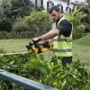 Belaidis gyvatvorių žirklių komplektas DeWALT DCM563P1-QW