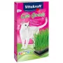 Žolių auginimo rinkinys katėms Vitakraft 120 g