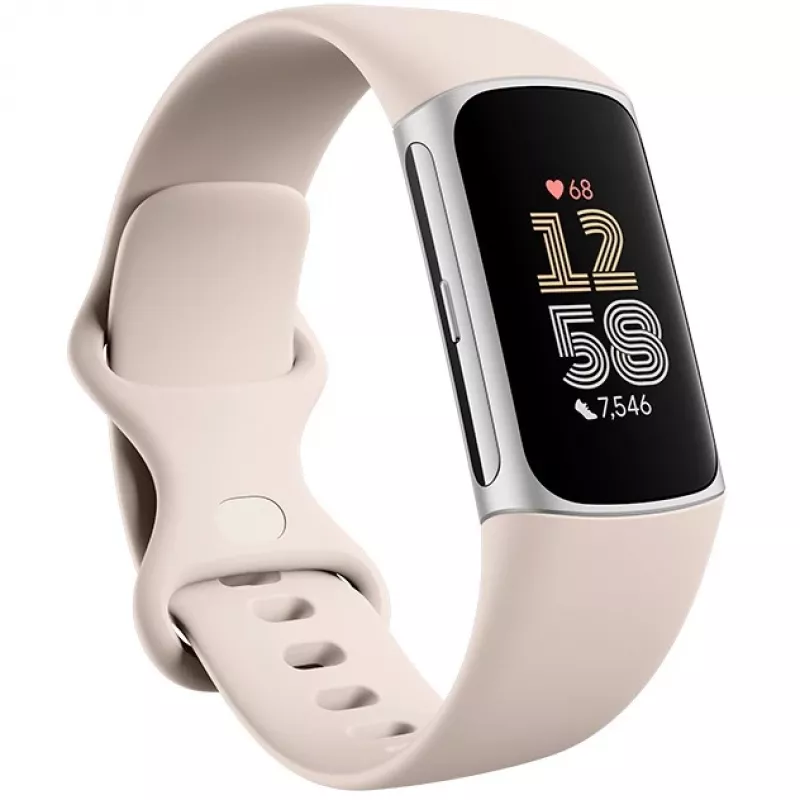 Fitbit GA05185-EU Sidabrinė