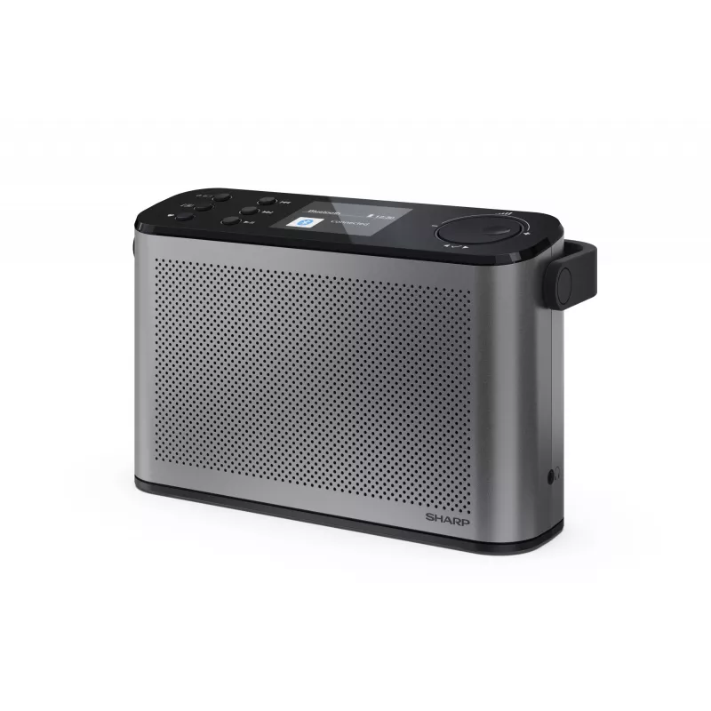 Stereo radijas Sharp OSAKA DR-P540(GY)