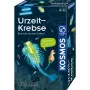 Kosmos 65787 papildytos realybės rinkinys, 8 m., įvairiaspalvis