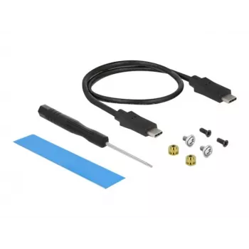 Dėklas SSD DeLOCK išorinis USB Type-C kombinuotas M.2 NVMe PCIe arba SATA SSD