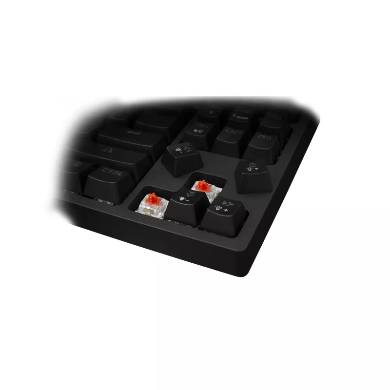 White Shark Premium Line Gaming Klaviatūra Kodachi ESL-K1