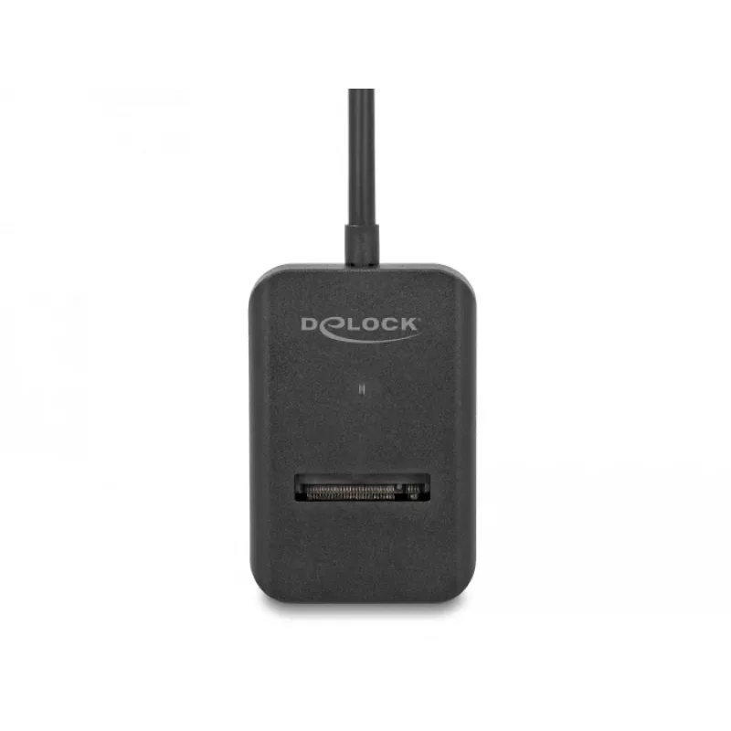 DeLOCK Combo Converter M.2 NVMe PCIe SATA SSD į USB Type-C 10 Gbps