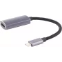 USB grafikos adapteris shiverpeaks BS14-05051 USB Type-C kištukas juodas pilkas