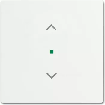 Busch-Jaeger 2CKA006220A0483 Dengiamoji plokštelė jutiklio laikikliui ir lizdui balta (2CKA006220A0483)