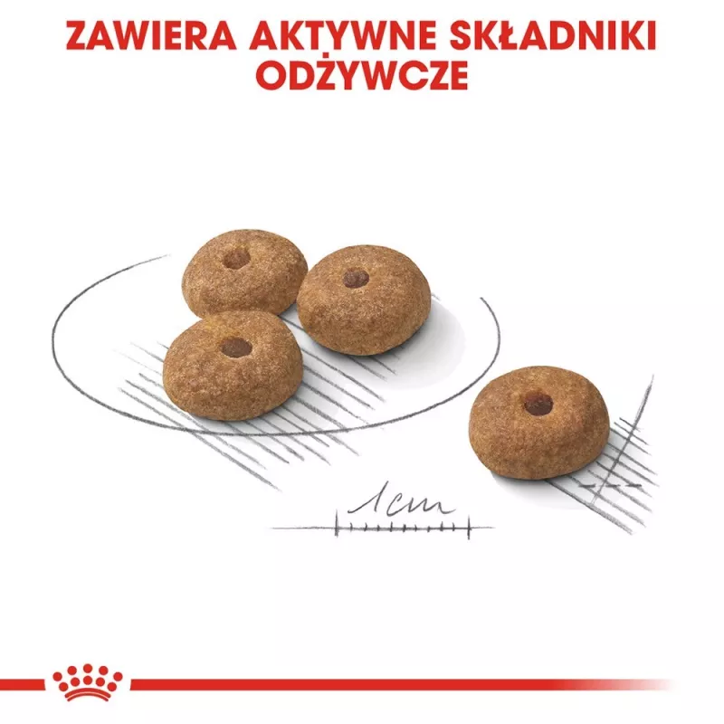 Royal Canin Mini Sterilised sausas maistas suaugusiems mažų veislių šunims po sterilizacijos, 1 kg