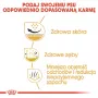Sausas šunų ėdalas Royal Canin Shih Tzu Adult 1,5 kg – paukštiena, 24% baltymų, 20% riebalų, suaugusiems mažiems šunims