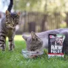 VetExpert Raw Paleo Adult Cat Sterilised konservuotas kačių maistas su jautiena, 100 g