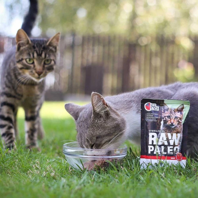 VetExpert Raw Paleo Adult Cat Sterilised konservuotas kačių maistas su jautiena, 100 g