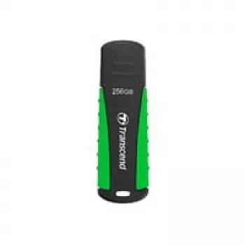 USB atmintinė Transcend 256GB USB Type-A 3.2 Gen 1 JetFlash 810
