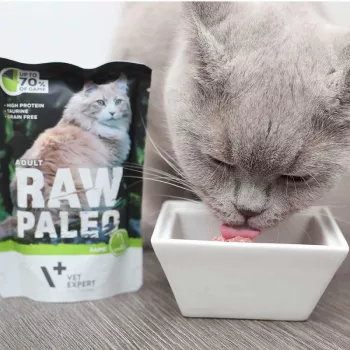 Šlapias ėdalas katėms VETEXPERT RAW PALEO Adult Venison 100 g – bekombinis vienos porcijos paketėlis