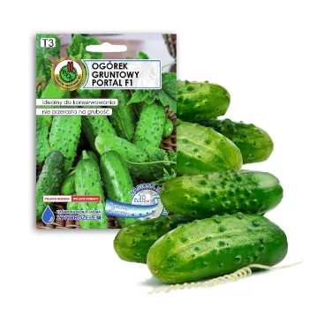 Agurkų sėklos Apte Cucumber Portal F1 — juosta 6 m, vidutinio ankstyvumo hibridas rauginimui