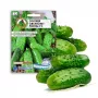 Agurkų sėklos Apte Cucumber Portal F1 — juosta 6 m, vidutinio ankstyvumo hibridas rauginimui