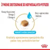 Sausas šunų maistas Royal Canin Yorkshire Terrier 8+ 1,5 kg – paukštiena, vyresniems mažiems šunims, 29% baltymų, 18% riebalų