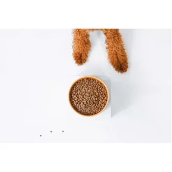 Sausas šunų maistas Nature’s Protection Superior Care Red Coat Adult Small Breed Grain Free Salmon 10 kg