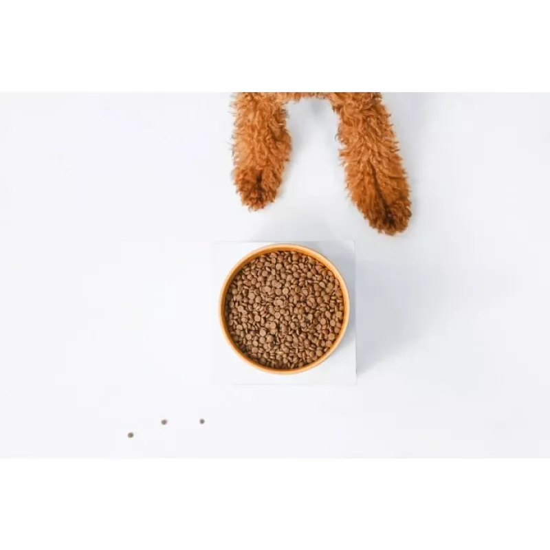 Sausas šunų maistas Nature’s Protection Superior Care Red Coat Adult Small Breed Grain Free Salmon 10 kg