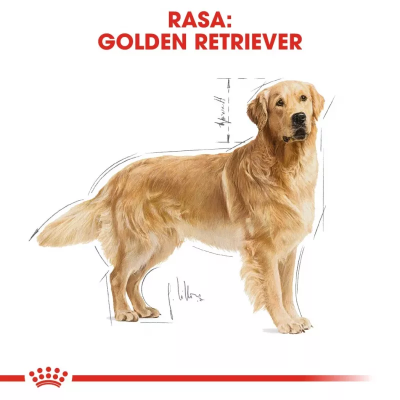 ROYAL CANIN BHN Golden Retriever sausas šunų maistas - 12kg