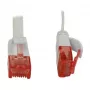 Synergy 21 S216170V2 tinklo kabelis 0,25 m Cat6 U/UTP (UTP) Baltas (S216170V2)