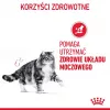 Royal Canin Urinary Care sausas kačių ėdalas suaugusiems Paukštiena 2 kg