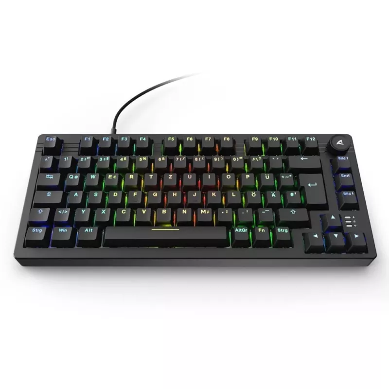 Sharkoon SGK25 klaviatūra laidinė USB QWERTZ vokiška juoda 75% RGB LED