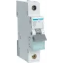 Automatinis jungiklis Hager MBN132