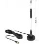 Omni-kryptinė antena DeLOCK 12412 DAB+ radijui