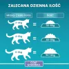 Sausas kačių ėdalas Purina ONE Adult Coat & Hairball Rich in Chicken 800 g