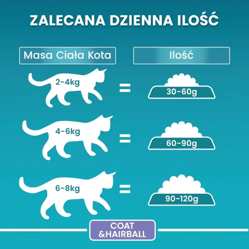 Sausas kačių ėdalas Purina ONE Adult Coat & Hairball Rich in Chicken 800 g