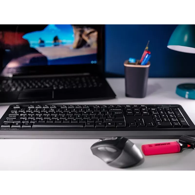 Belaidė pelė A4Tech FStyler 47478 2,4 GHz Nano pilka ergonomiškas dizainas