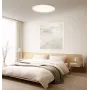 Protingi lubiniai šviestuvai Xiaomi D40 WiFi 45W Baltas