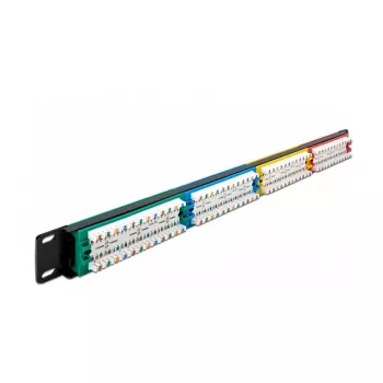 DeLOCK 19 inch Patch Panel 24 prievadai Cat.5e 1U spalvotas RJ-45