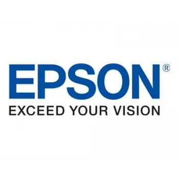 Epson WorkForce ES-300WR ES-200 ES-300W DS-320 atskyrimo trinkelė