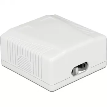 Sieninis lizdas 2 x RJ-45 DeLOCK 86197
