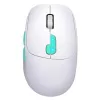 Defender NITTA MM-307 RF+BT OPTIC 1600dpi 6P BALTA pelė