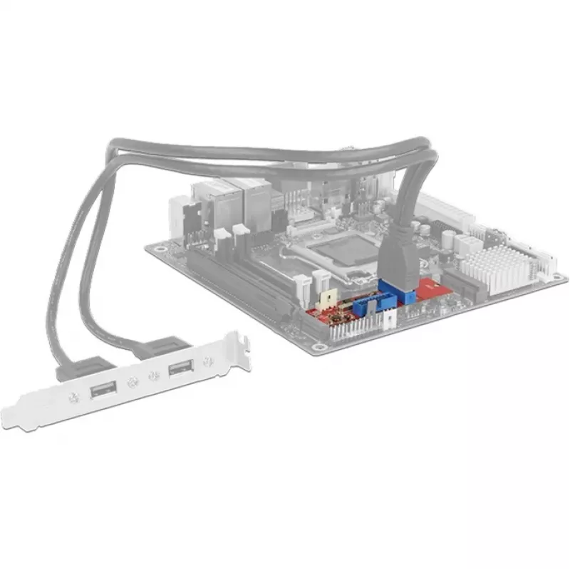 Delock Converter M.2 Key B+M vyriškas > 2 x USB3.0 Pin Header - USB adapteris - M.2 kortelė - USB3.0 (vidinis) x 2 (62843)