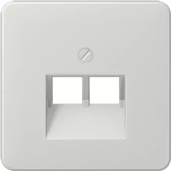 Jung CD569-2UALG Grey RJ45 kištukinis lizdas