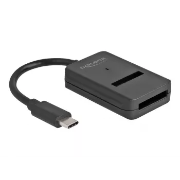 DeLOCK Combo Converter M.2 NVMe PCIe SATA SSD į USB Type-C 10 Gbps