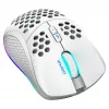 Belaidė RF pelė žaidimams Deltaco GAM-120-W, balta, USB Type-C