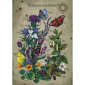 Dėlionė Ravensburger Circle of Life Butterfly 1000 dalių