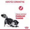 Sausas kačių ėdalas Royal Canin Digestive Care 4 kg — suaugusioms, paukštiena, virškinimo palaikymas